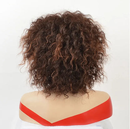 MSIWIGS Afro Medium Wigs for Women Ombre Brown Color Hair Synthetic Wig with Highlight