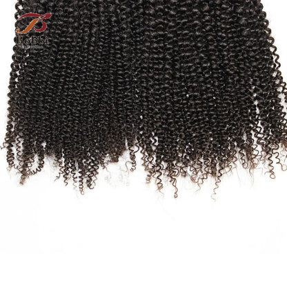 Afro Kinky Curly Bundles With Closure Transparent 4x4 Lace Free Part Natural Black Remy Human Hair Weave 10-30 inch BOBBI