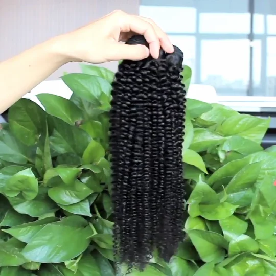 Afro Kinky Curly Bundles With Closure Transparent 4x4 Lace Free Part Natural Black Remy Human Hair Weave 10-30 inch BOBBI