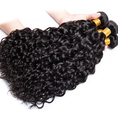 Malaysian Water Wave Bundles With Closure Wet and Wavy Curly Human Hair Bundles With Frontal Closure Remy Hair Weave Extensions