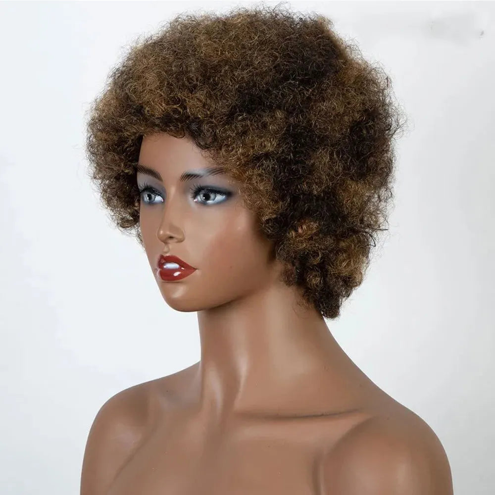 Afro Kinky Curly Highlight Wig Human Hair Ombre Brown Blonde Kinky Curly Afro Human Hair Wigs for Women Cosplay Full Machine Wig