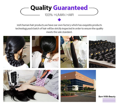 13x6 Lace Full Frontal Wigs Human Hair Body Wave 250% Density Brazilian Virgin Hair Preplucked Transparent Lace 13x4 Frontal Wig