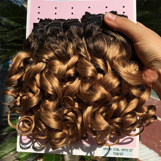 Human Hair Bundles 6 Bundles Ombre Bouncy Curl Bundles For Women Natural Brazilian Hair Weaves 200G For A Full Head Blonde T1B30