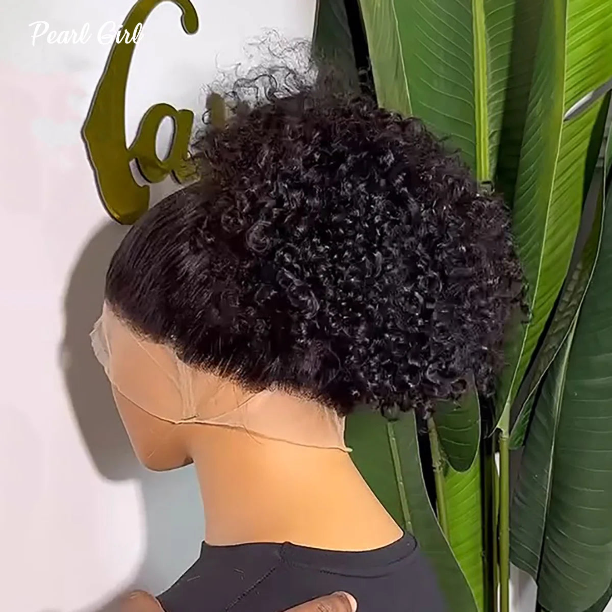 360 Full Lace Wig 100% Human Hair Afro Kinky Curly Wig for Black Woman Pre Plucked Natural Color 360 HD Lace Frontal Curly Wig