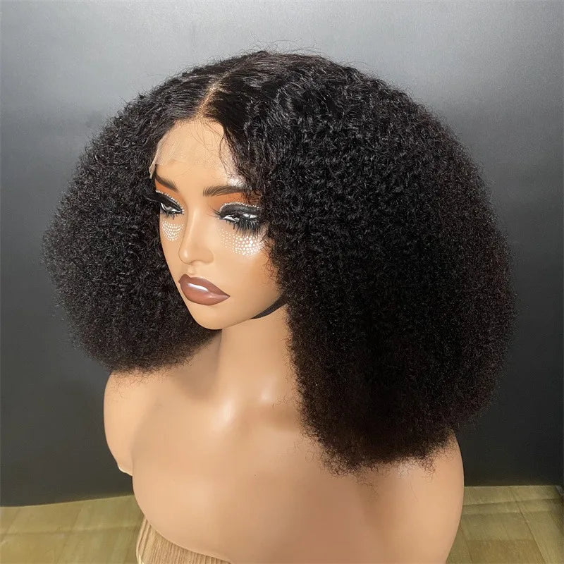 Afro Kinky Curly 250% Density 4x4 Lace Front Short Curly Wigs 100% Human Hair Pre-Plucked Brazilian Virgin Hair Natural Color