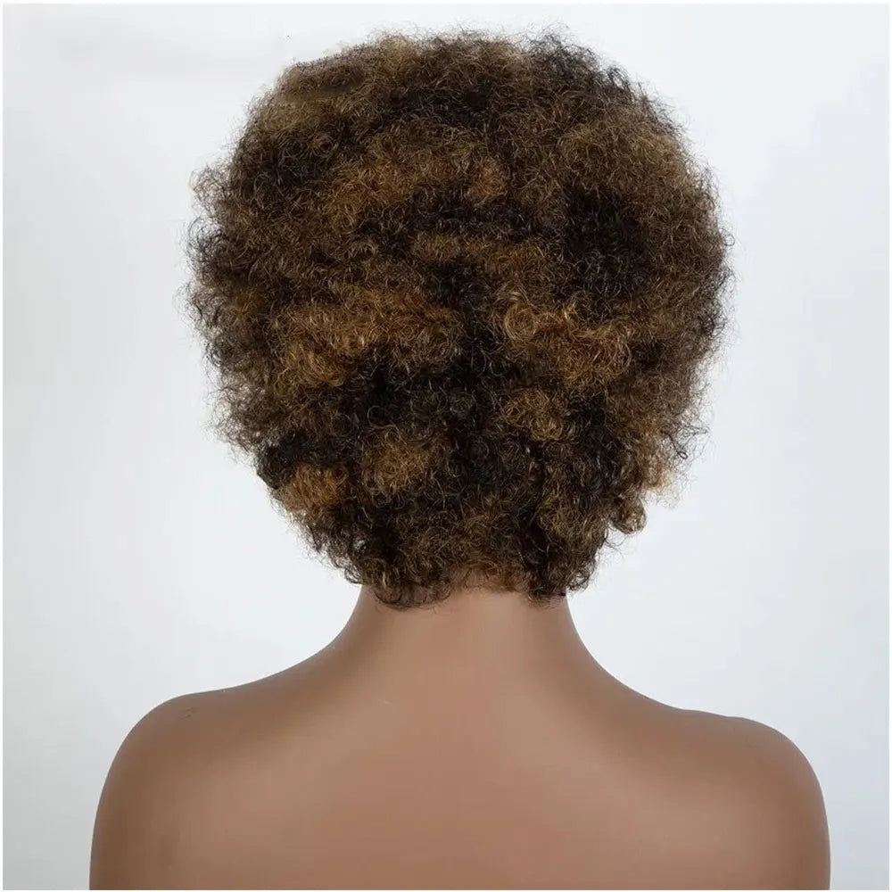Afro Kinky Curly Highlight Wig Human Hair Ombre Brown Blonde Kinky Curly Afro Human Hair Wigs for Women Cosplay Full Machine Wig