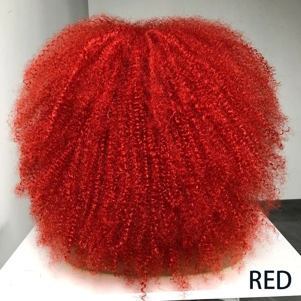Afro Curly Wigs With Bangs For Black Women Burgundy Wig Synthetic Wine Red Hair Ombre Brown Blonde Cosplay Wig