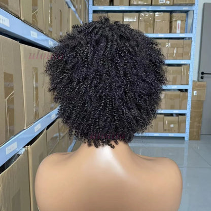 Afro Kinky Curly 100% Human Hair Full Machine Explosive Head Wigs High Quality Brazilian Virgin Hair Wig For Black Women Daily