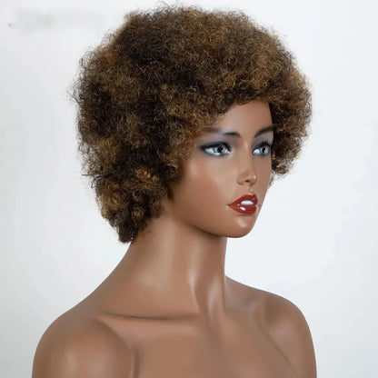 Afro Kinky Curly Highlight Wig Human Hair Ombre Brown Blonde Kinky Curly Afro Human Hair Wigs for Women Cosplay Full Machine Wig