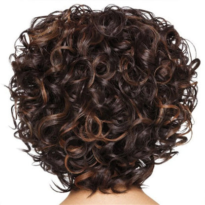 Short Curly Human Hair Wigs Wet And Wavy Deep Wave Lace Frontal Wig Deep Curly Lace Front Wigs Korean curly hair