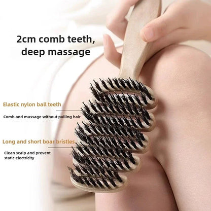 Boar Bristle Hair Comb Hollow Detangling Hair Brush Women Scalp Massage Brush Curly Hairbrush Salon Hairdressing Styling Tools