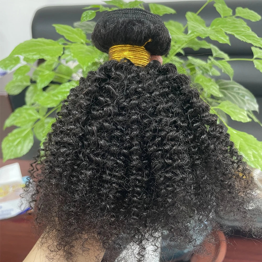 Afro Kinky Curly Bundles Human Hair Afro Kinky  Human Hair Unprocessed Virgin Hair Bundles for Women Natural Black