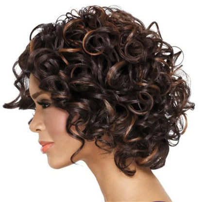 Short Curly Human Hair Wigs Wet And Wavy Deep Wave Lace Frontal Wig Deep Curly Lace Front Wigs Korean curly hair
