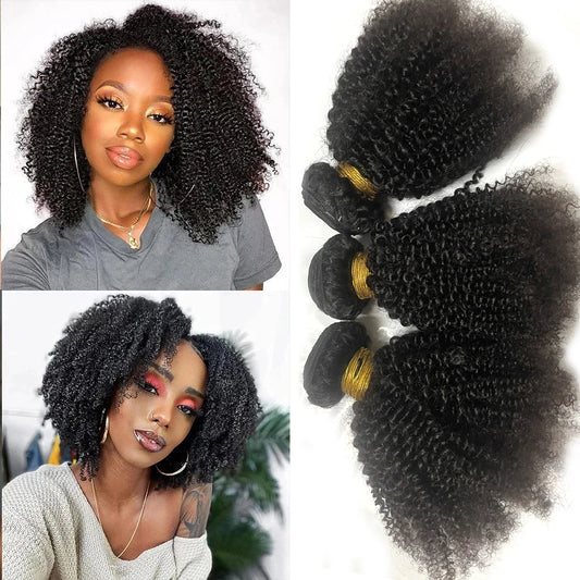 Afro Kinky Curly Bundles Human Hair Afro Kinky  Human Hair Unprocessed Virgin Hair Bundles for Women Natural Black