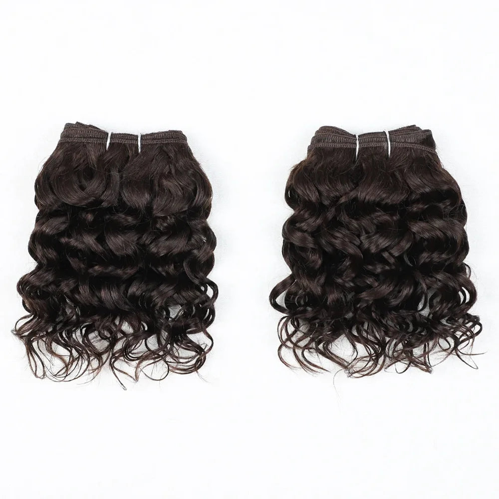 2pcs Short Curly Hair Bundles Brazilian Hair Weave Bundles 100% Human Hair Bundles Hair Extension Human Hair Bundles Short Curly