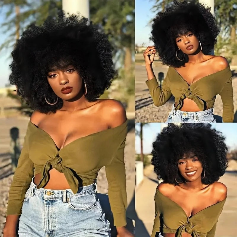 Afro Wigs Curls Short Curly Afro Kinky Wig 70s Bouncy Human Wigs Cosplay and Daily Two Styles Wigs