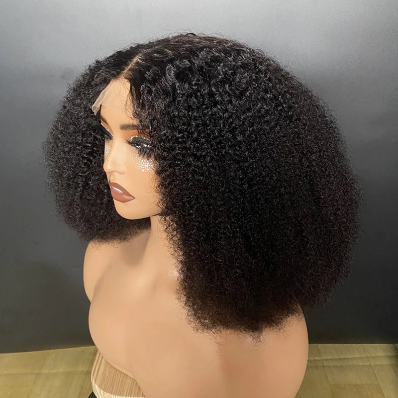 Afro Kinky Curly 250% Density 4x4 Lace Front Short Curly Wigs 100% Human Hair Pre-Plucked Brazilian Virgin Hair Natural Color