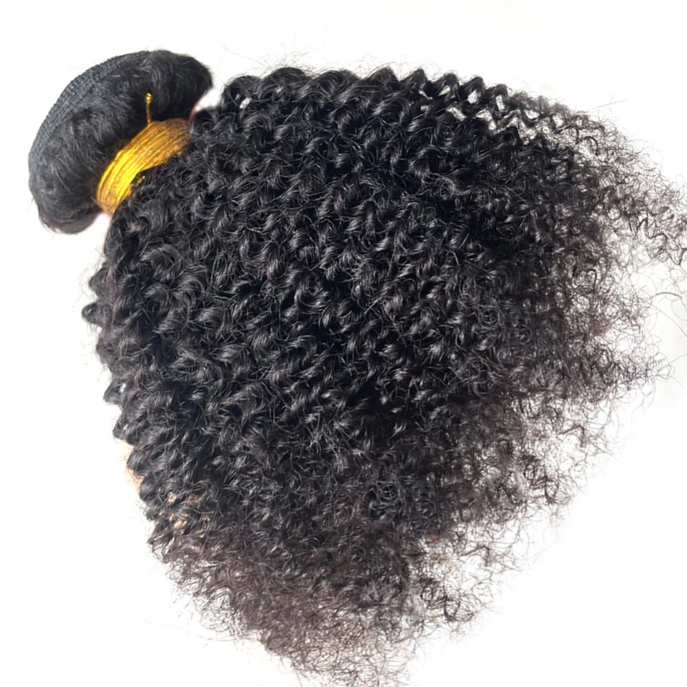 Afro Kinky Curly Bundles Human Hair Afro Kinky  Human Hair Unprocessed Virgin Hair Bundles for Women Natural Black
