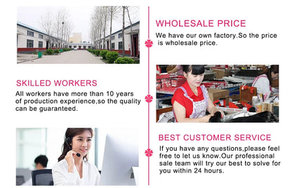 Vietnamese Bone Straight Super Double Drawn Bob Wig Human Hair Omber Grey Wigs 2*4 Lace Closure Wigs Middle Part Kim Closure300%