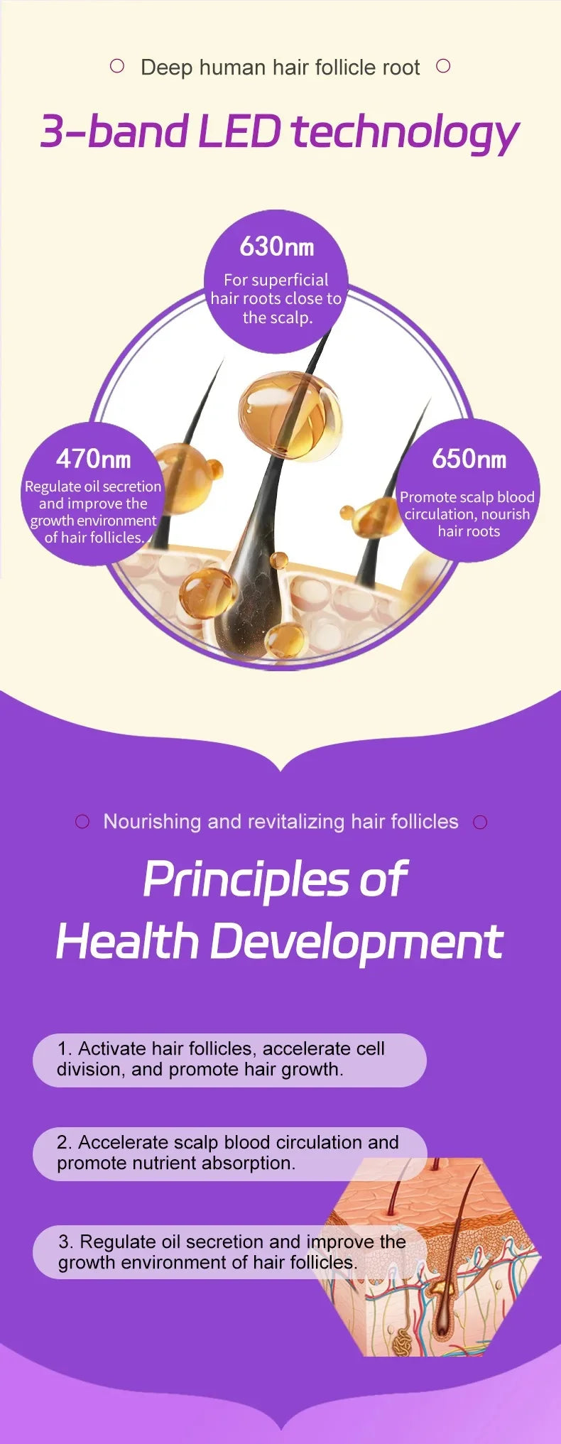 Hair care instrument, oil control hair follicle care, hair care, hair health, anti-hair loss cap, gifts